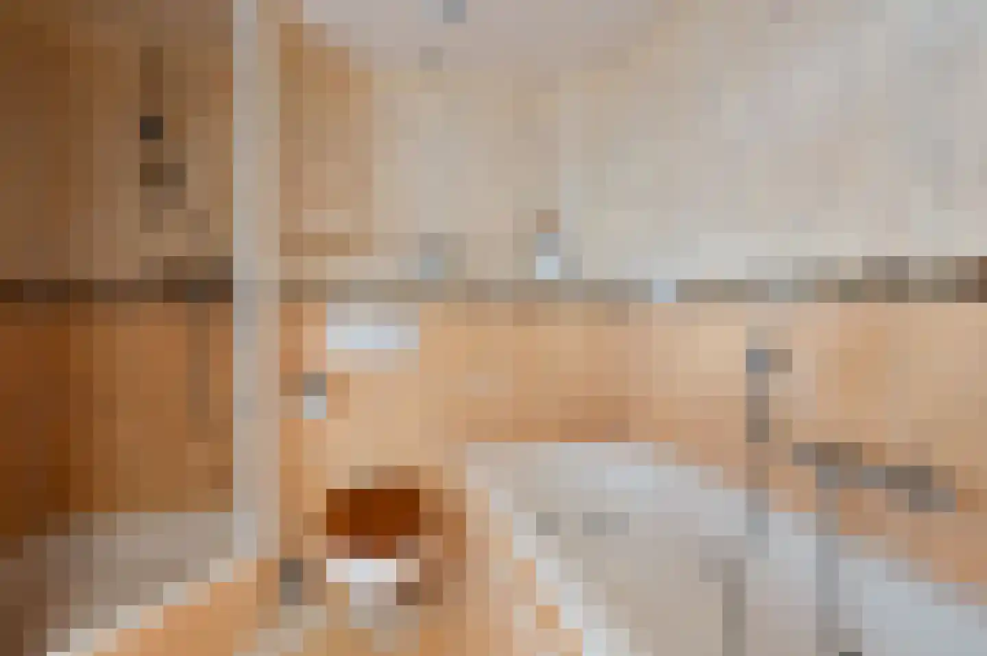 Drechtdijk 53 De Kwakel thumbnail 16