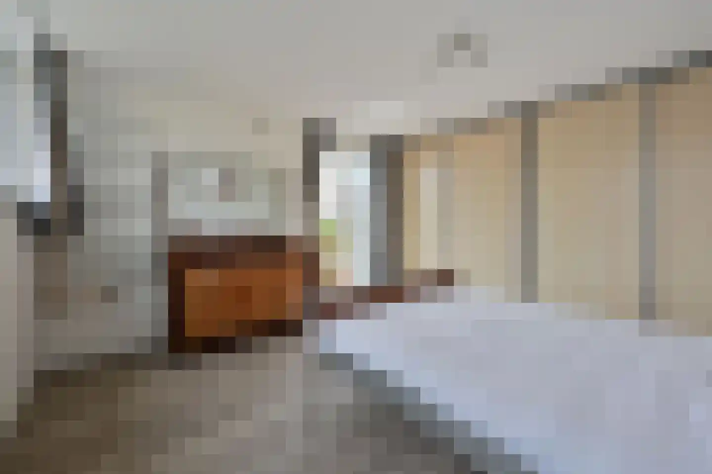 Drechtdijk 53 De Kwakel thumbnail 18