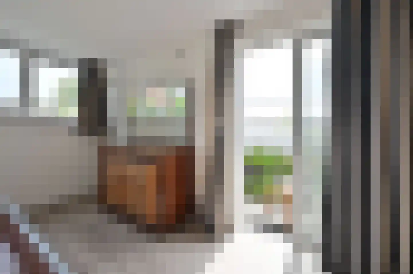 Drechtdijk 53 De Kwakel thumbnail 19