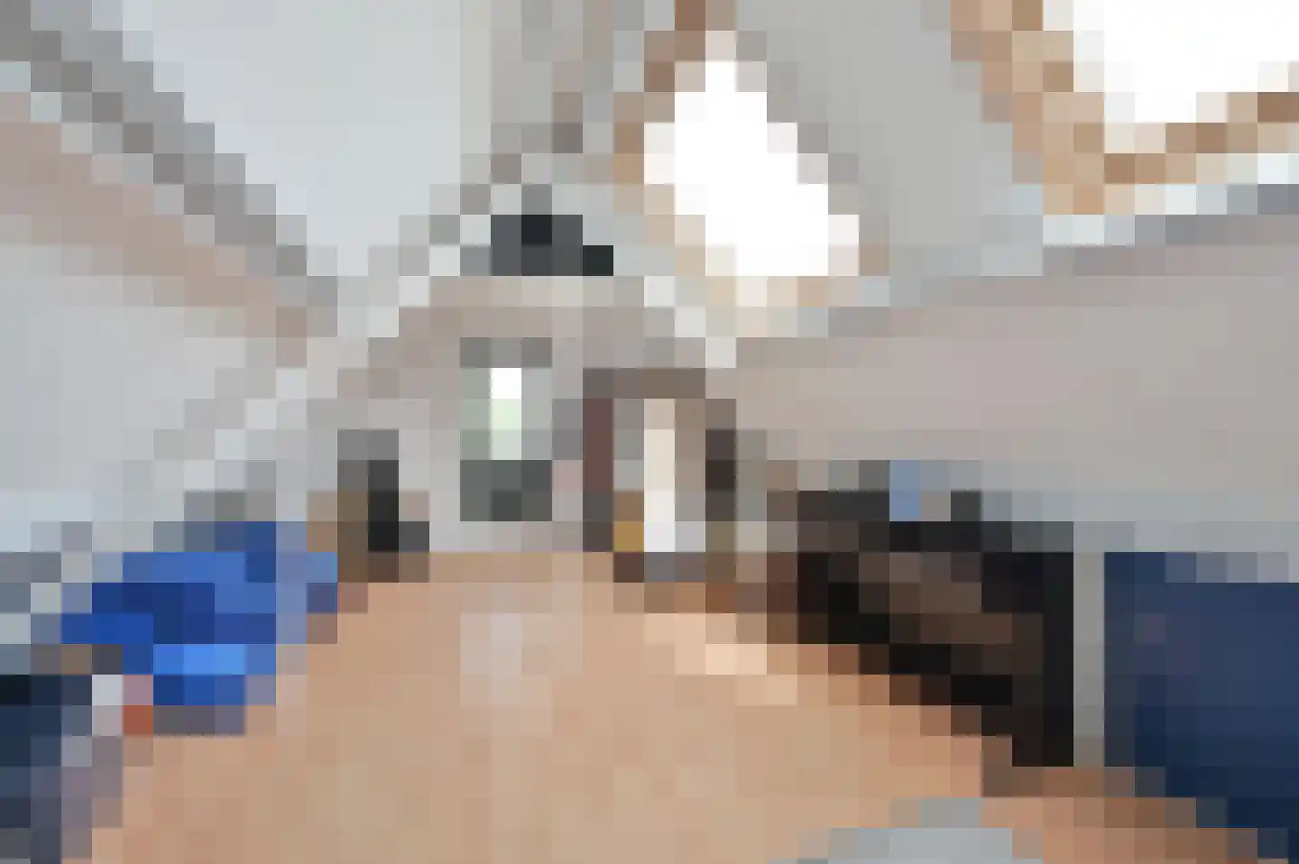 Drechtdijk 53 De Kwakel thumbnail 20