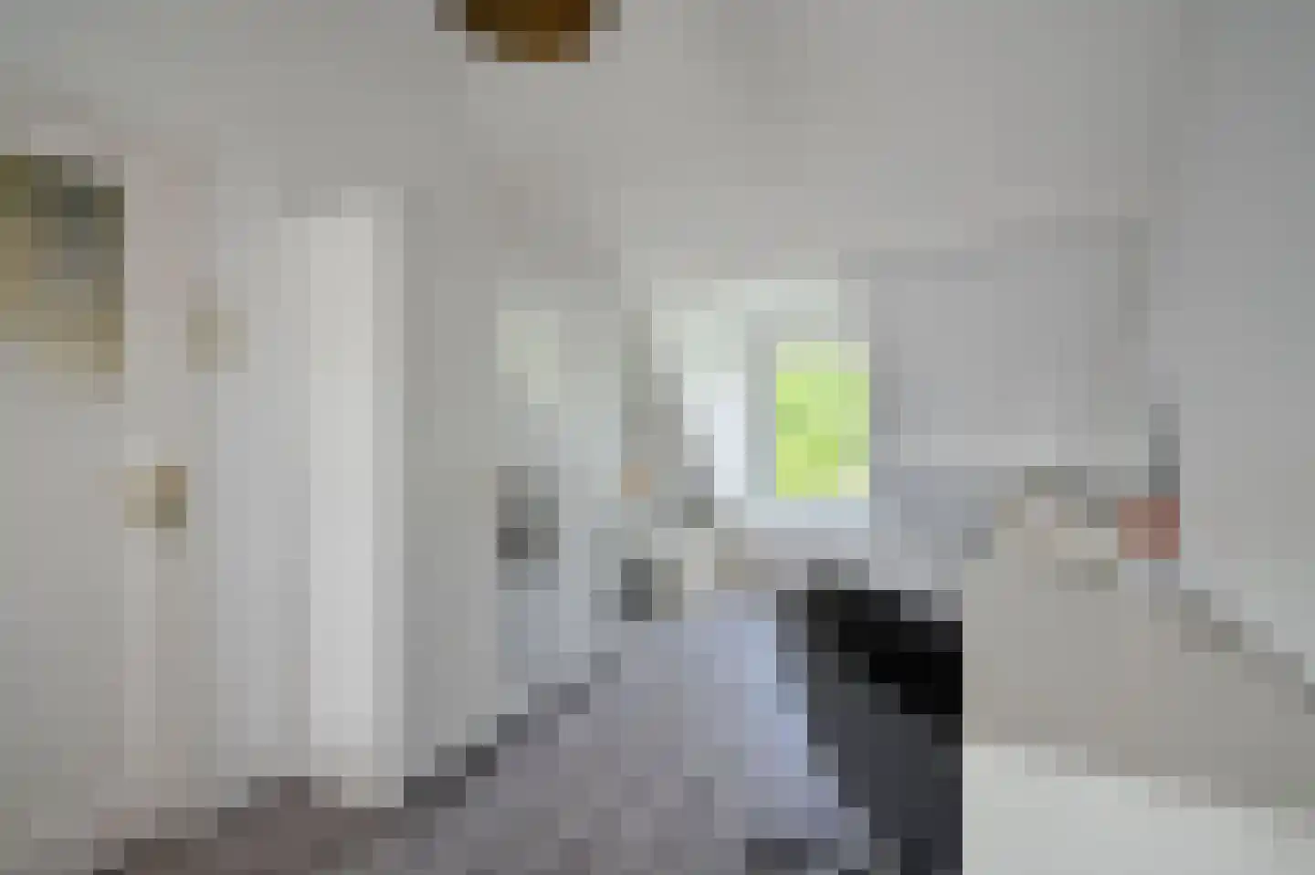 Drechtdijk 53 De Kwakel thumbnail 22