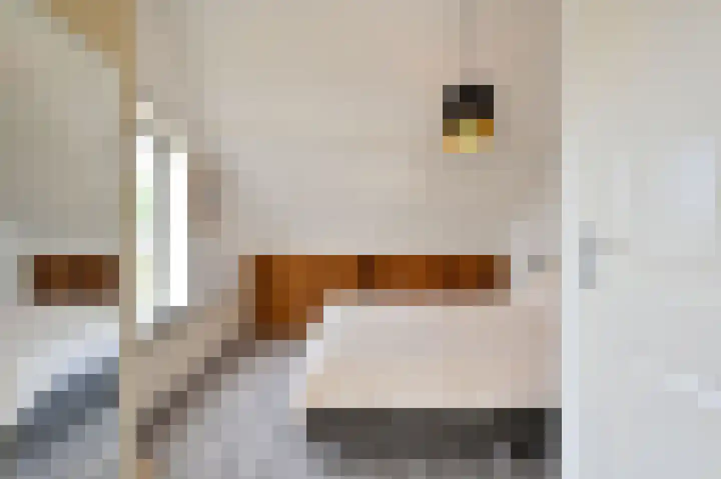 Drechtdijk 53 De Kwakel thumbnail 23