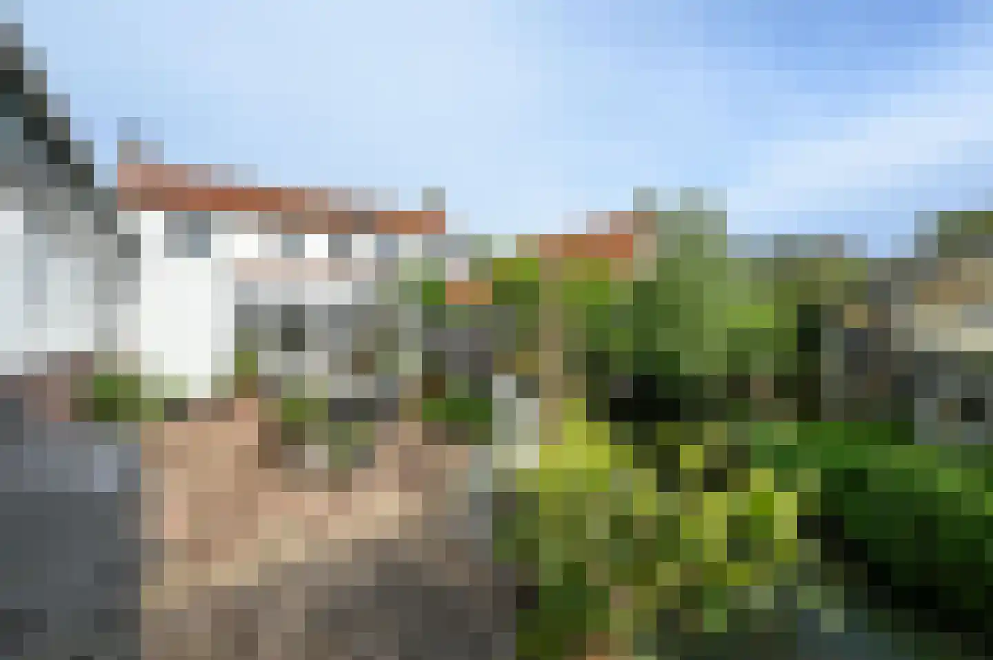 Drechtdijk 53 De Kwakel thumbnail 27