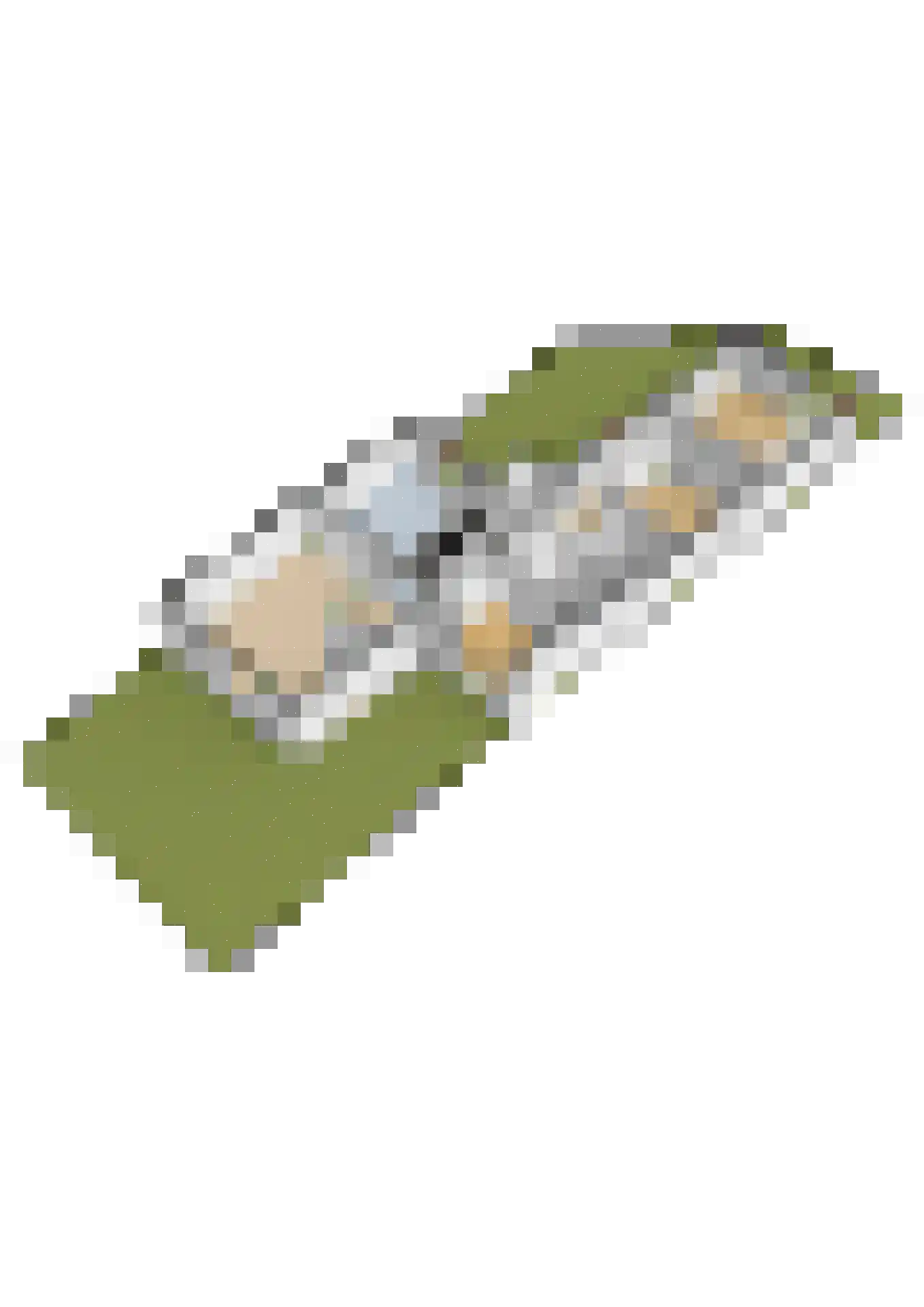 Drechtdijk 53 De Kwakel thumbnail 32