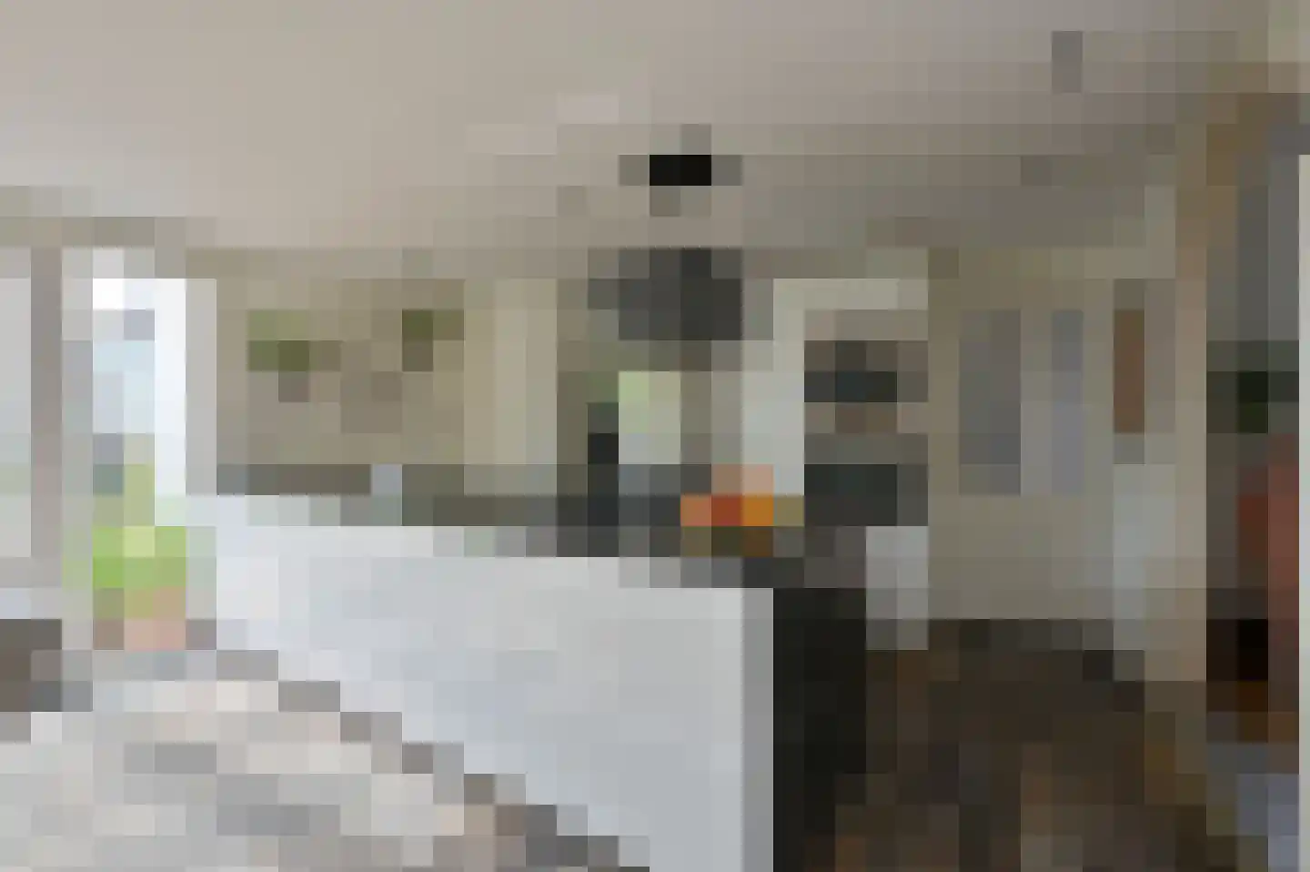 Drechtdijk 53 De Kwakel thumbnail 4