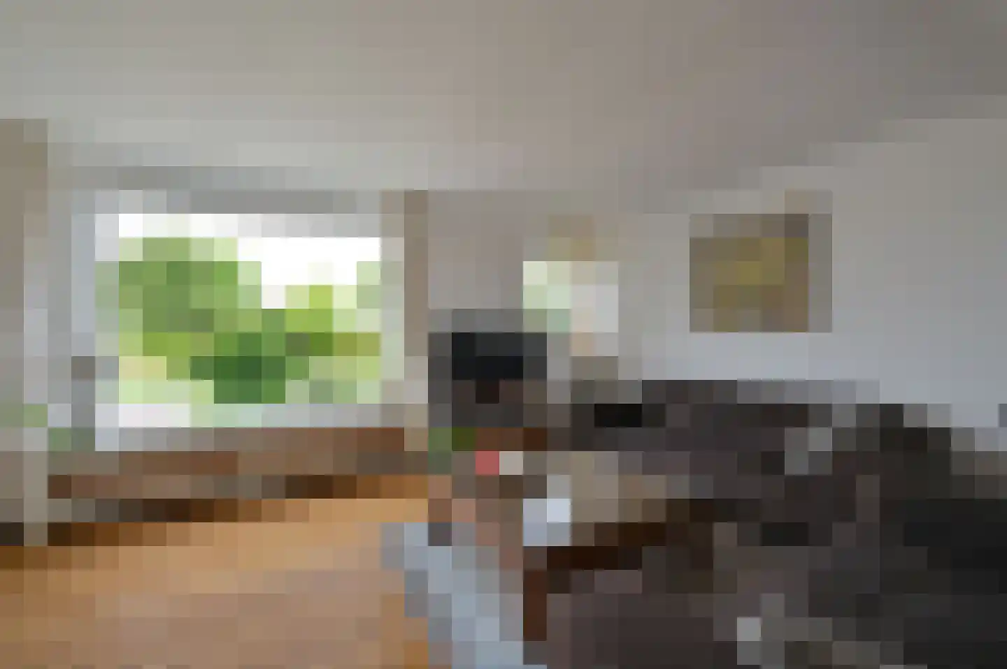 Drechtdijk 53 De Kwakel thumbnail 6