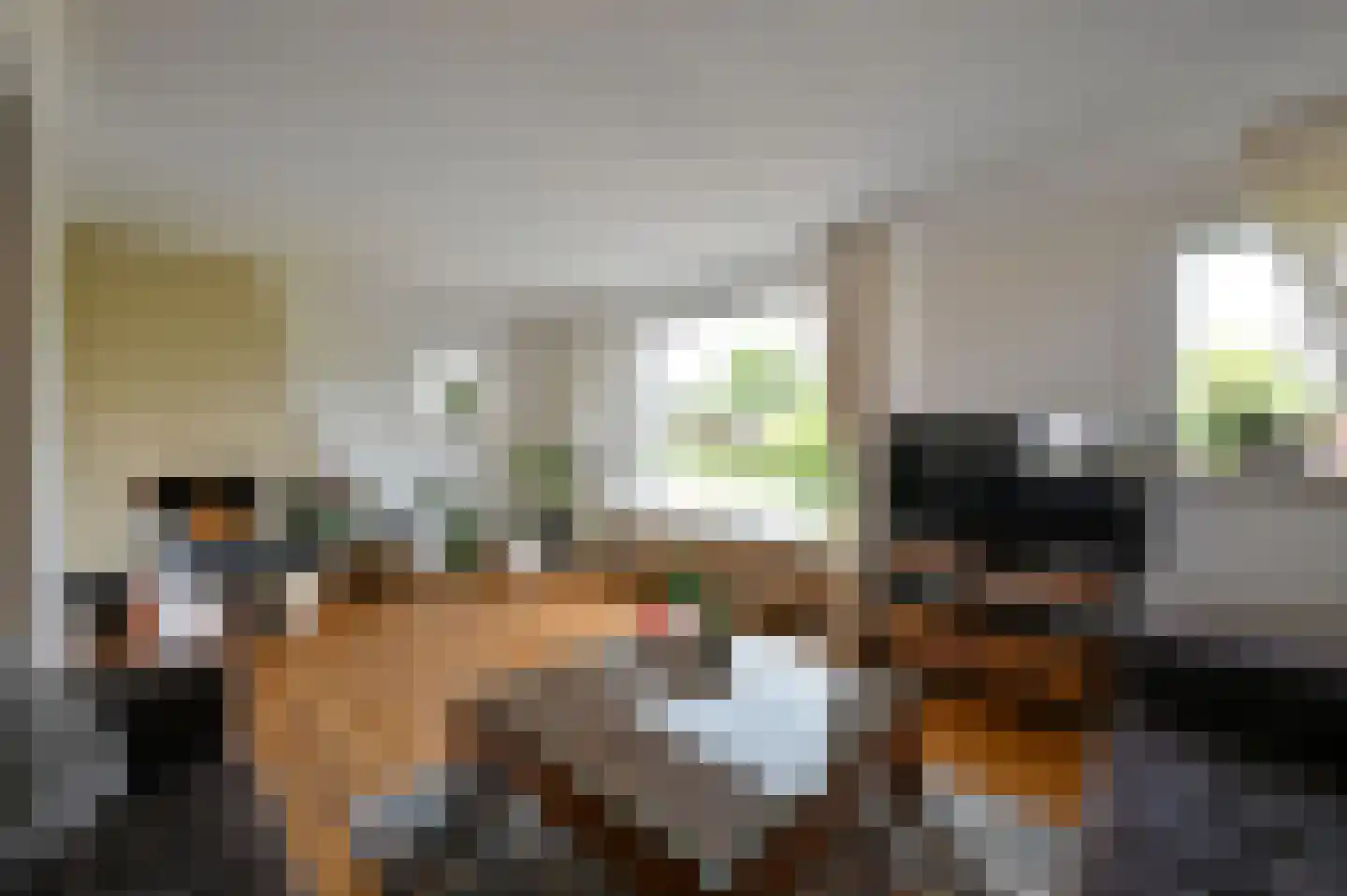 Drechtdijk 53 De Kwakel thumbnail 7