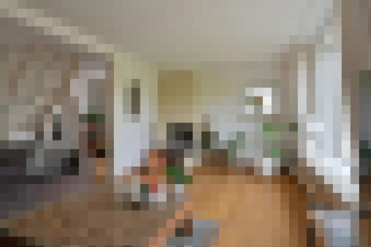 Drechtdijk 53 De Kwakel thumbnail 9