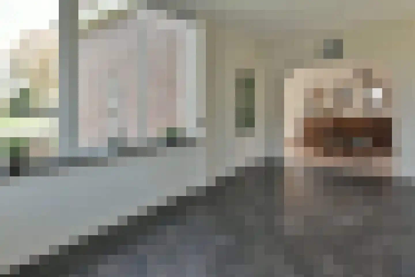 Drechtdijk 76 De Kwakel thumbnail 11