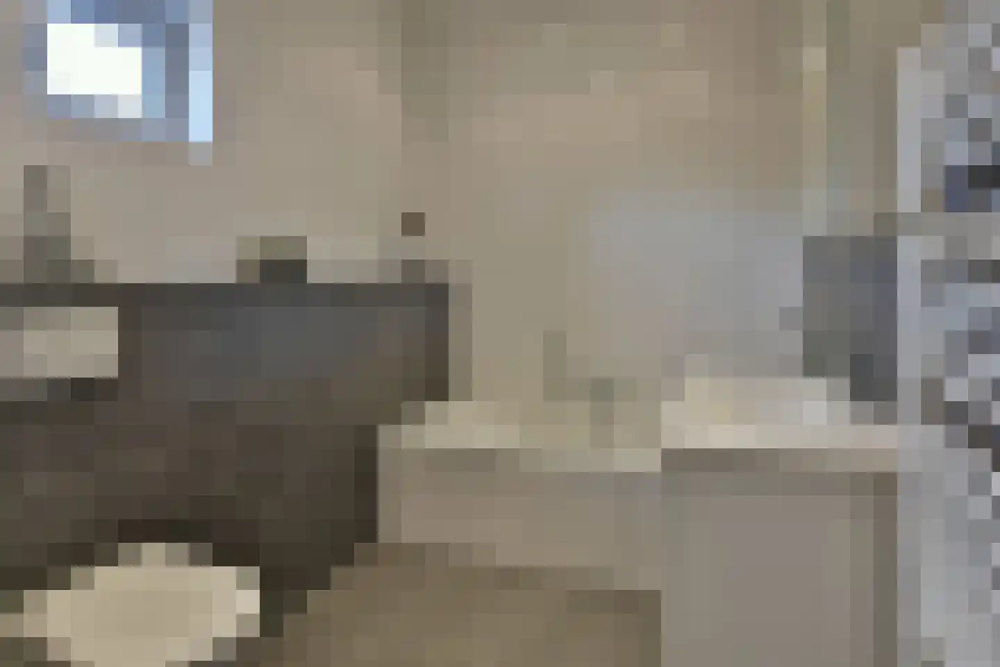 Drechtdijk 76 De Kwakel thumbnail 15