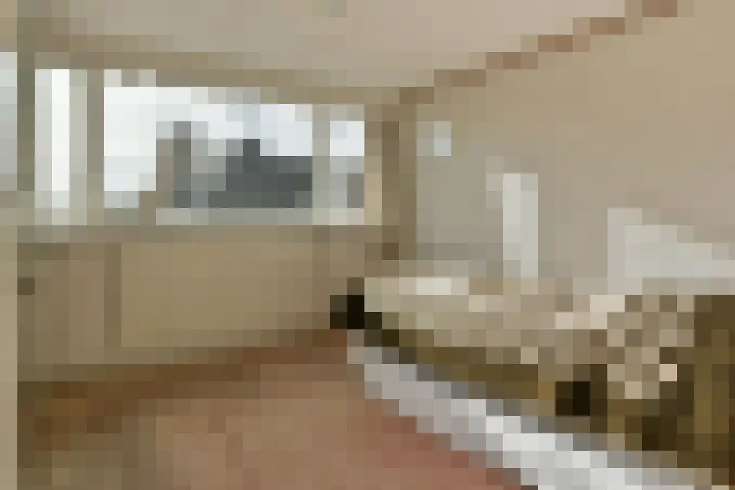 Drechtdijk 76 De Kwakel thumbnail 20