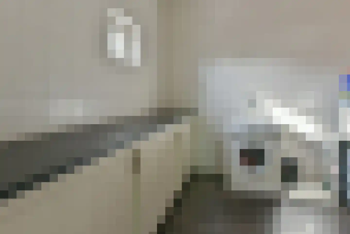 Drechtdijk 76 De Kwakel thumbnail 21