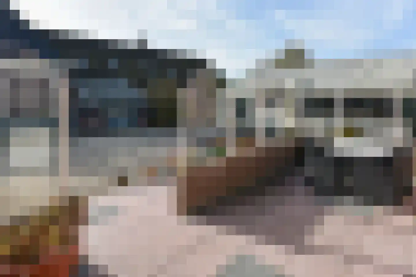 Drechtdijk 76 De Kwakel thumbnail 23