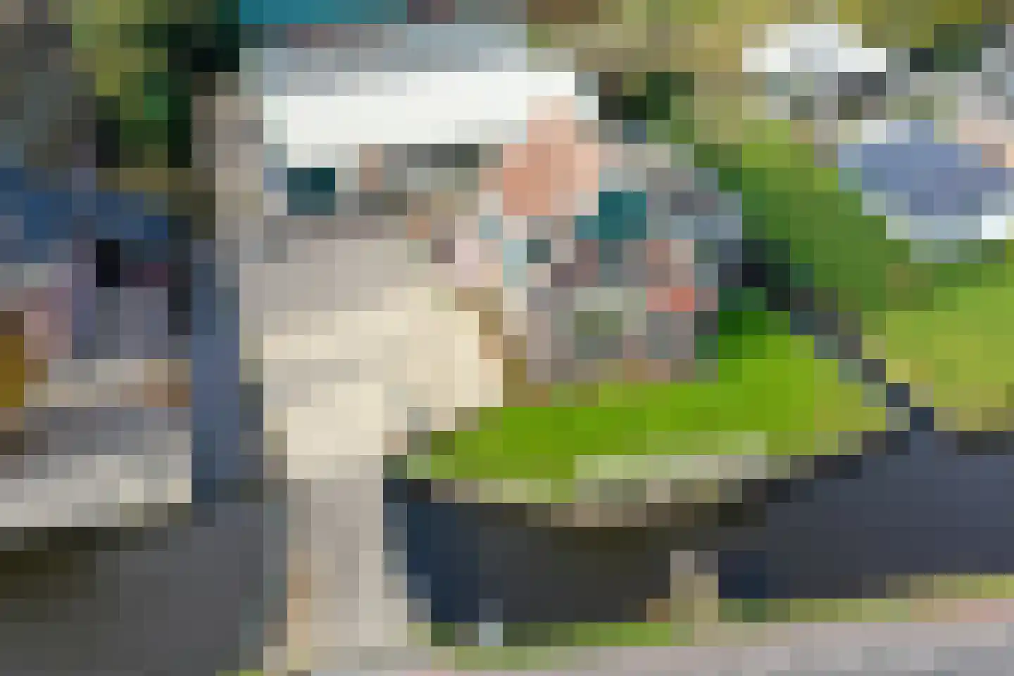 Drechtdijk 76 De Kwakel thumbnail 27