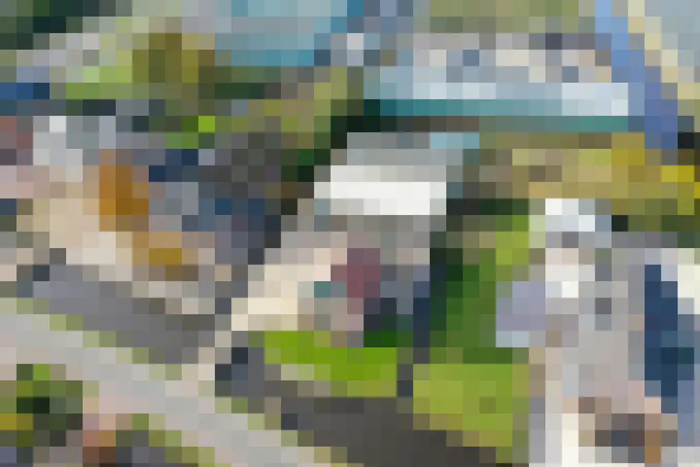 Drechtdijk 76 De Kwakel thumbnail 28