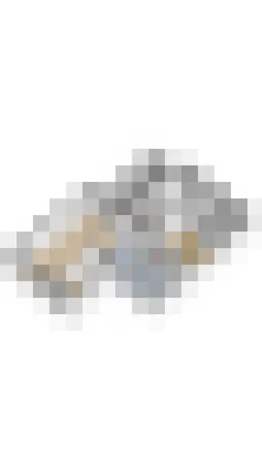 Drechtdijk 76 De Kwakel thumbnail 33