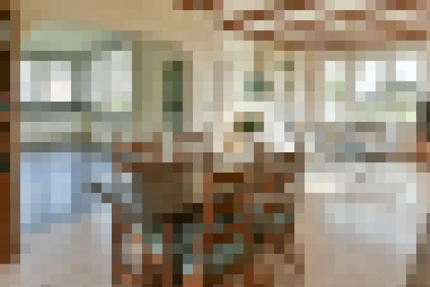 Drechtdijk 76 De Kwakel thumbnail 4