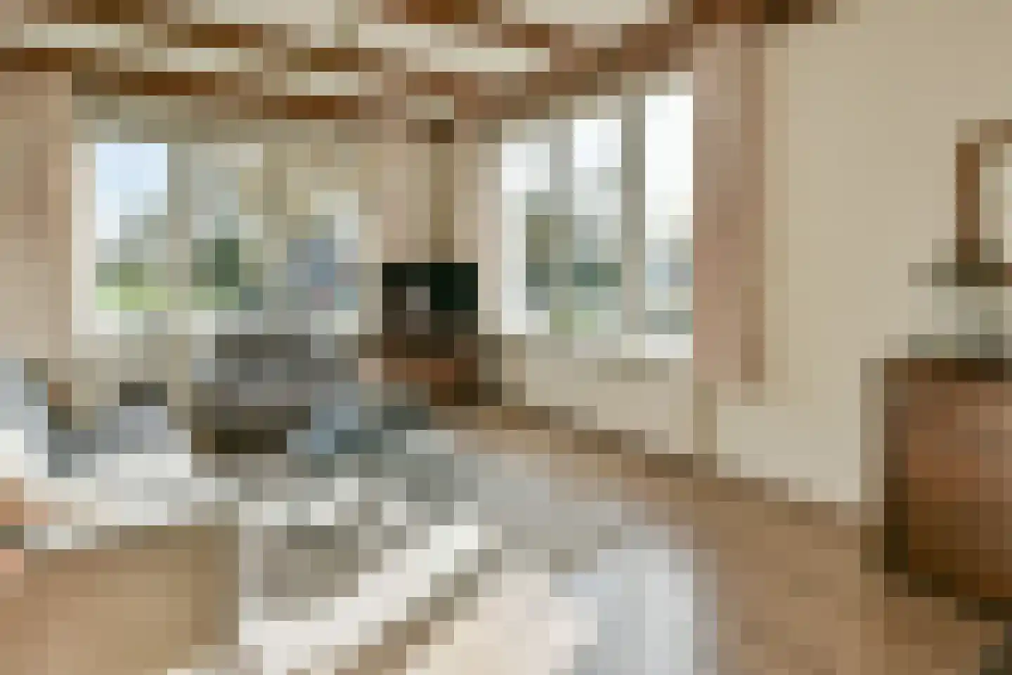 Drechtdijk 76 De Kwakel thumbnail 5