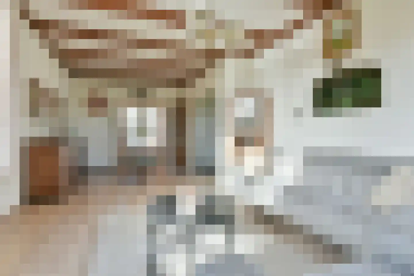 Drechtdijk 76 De Kwakel thumbnail 7
