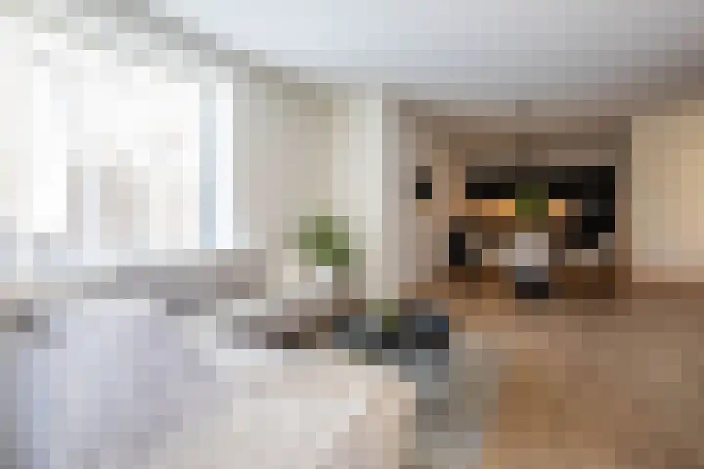 Drechtdijk 9 D De Kwakel thumbnail 10