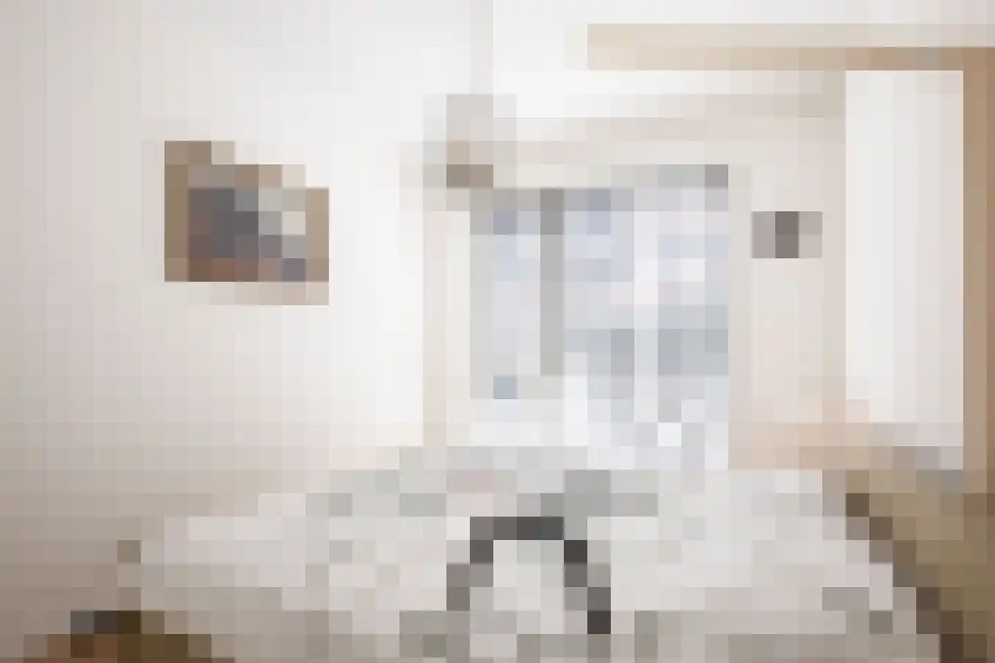Drechtdijk 9 D De Kwakel thumbnail 16
