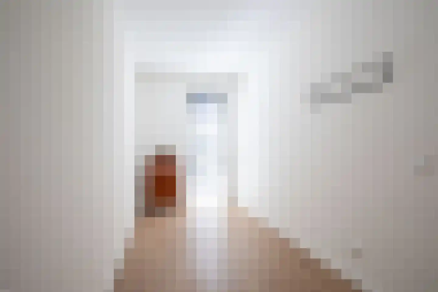 Drechtdijk 9 D De Kwakel thumbnail 17
