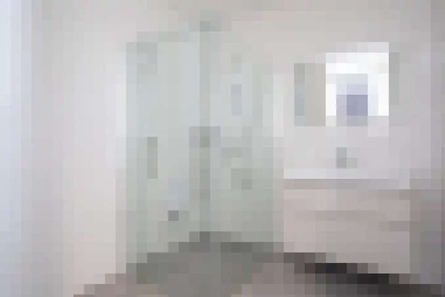 Drechtdijk 9 D De Kwakel thumbnail 19