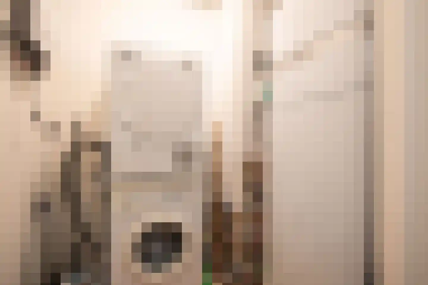 Drechtdijk 9 D De Kwakel thumbnail 27