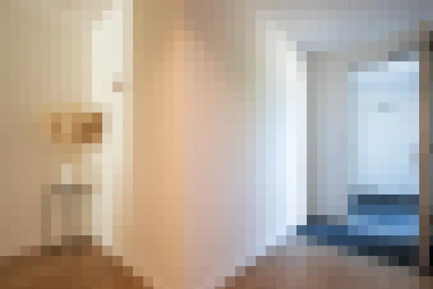 Drechtdijk 9 D De Kwakel thumbnail 6