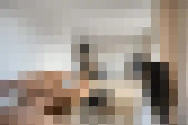 Drechtdijk 9 F De Kwakel thumbnail 10