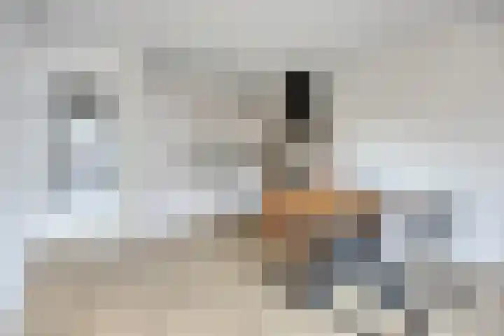 Drechtdijk 9 F De Kwakel thumbnail 11