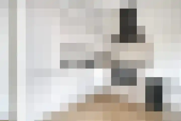 Drechtdijk 9 F De Kwakel thumbnail 12