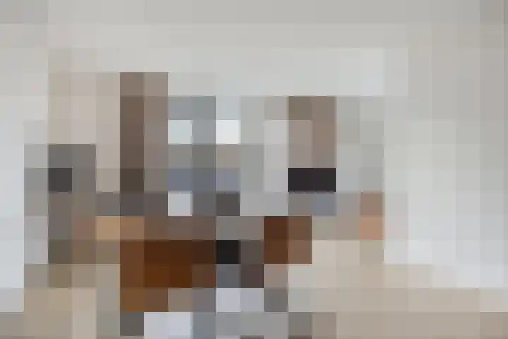 Drechtdijk 9 F De Kwakel thumbnail 13