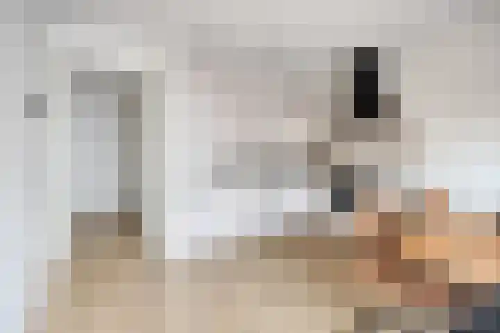 Drechtdijk 9 F De Kwakel thumbnail 14