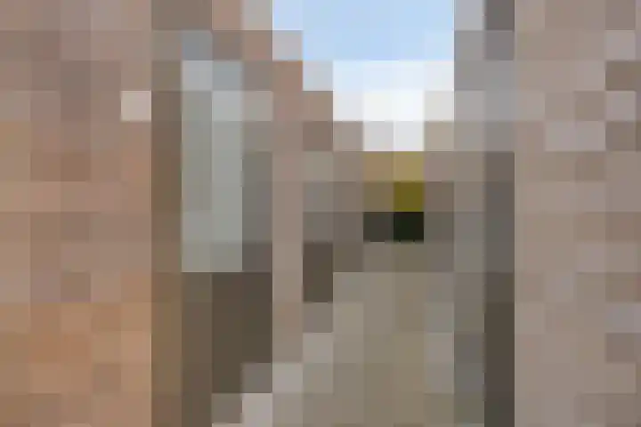 Drechtdijk 9 F De Kwakel thumbnail 18