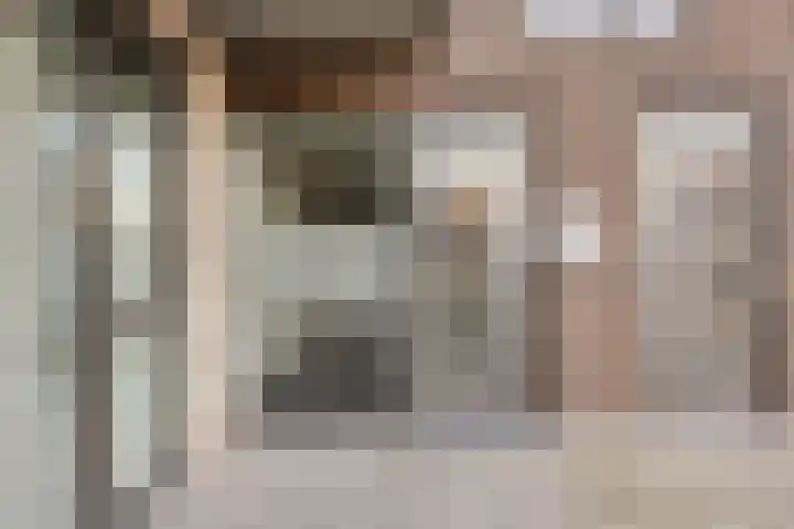 Drechtdijk 9 F De Kwakel thumbnail 4