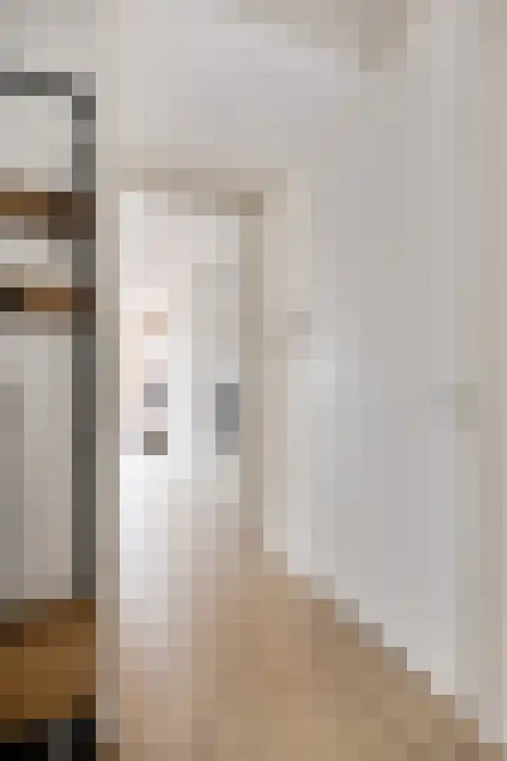 Drechtdijk 9 F De Kwakel thumbnail 6