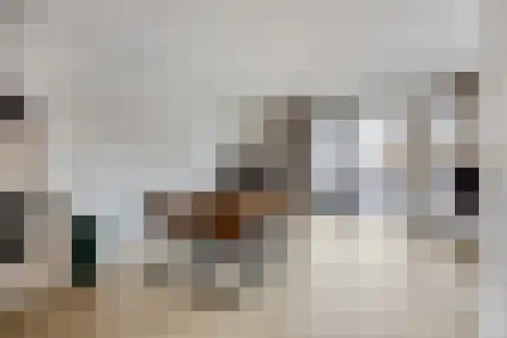 Drechtdijk 9 F De Kwakel thumbnail 8