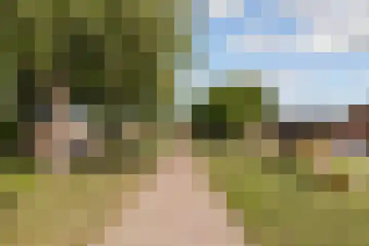 Drechterland 23 Lelystad thumbnail 45