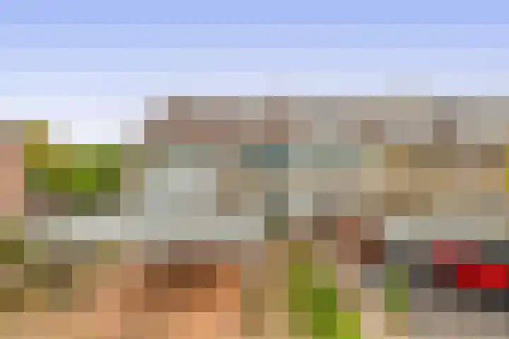 Drechterland 28 Zoetermeer thumbnail 4