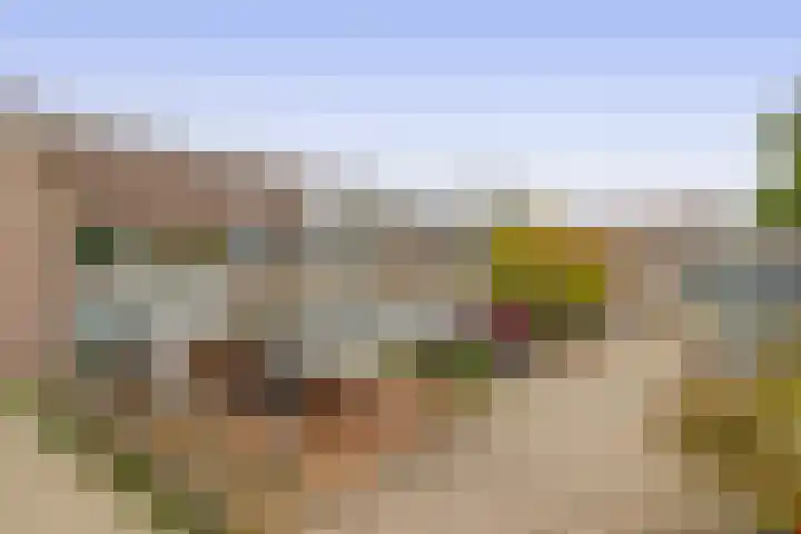 Drechterland 28 Zoetermeer thumbnail 6