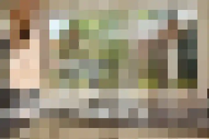Drechterland 30 Zoetermeer thumbnail 15