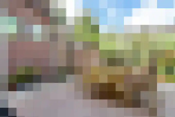 Drechterland 30 Zoetermeer thumbnail 21