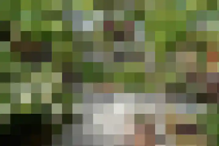 Drechterland 30 Zoetermeer thumbnail 23