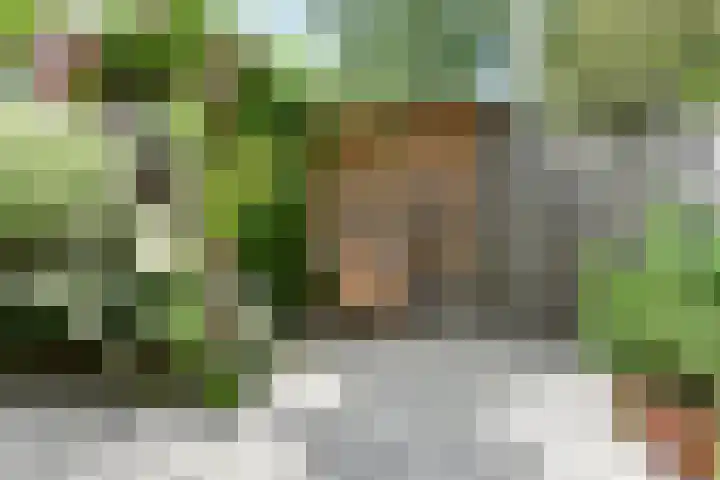 Drechterland 30 Zoetermeer thumbnail 24