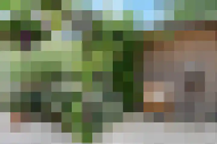 Drechterland 30 Zoetermeer thumbnail 25