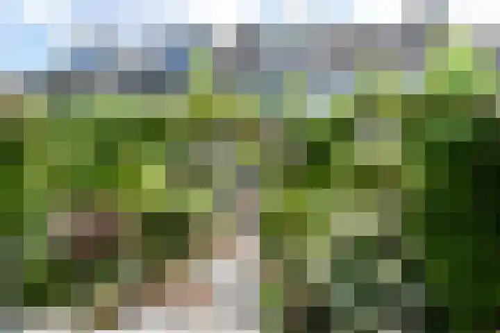 Drechterland 30 Zoetermeer thumbnail 26