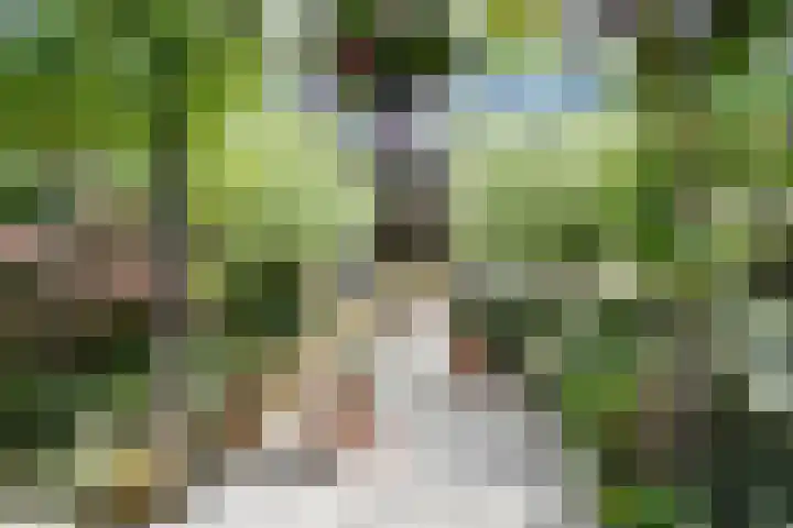Drechterland 30 Zoetermeer thumbnail 27
