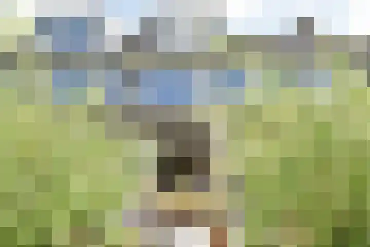 Drechterland 30 Zoetermeer thumbnail 28
