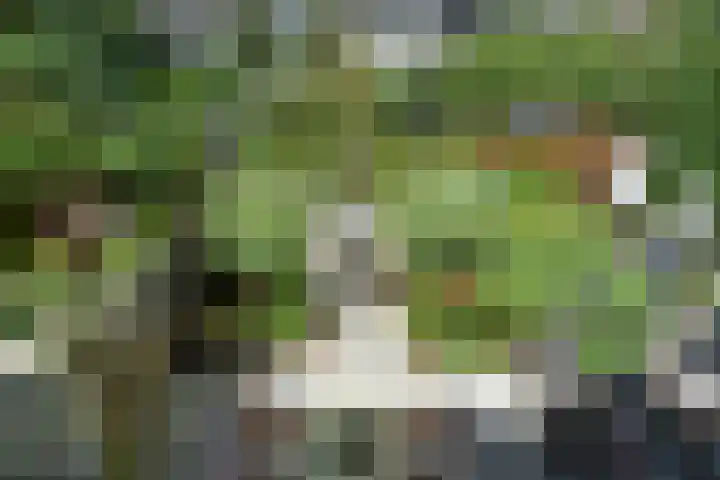 Drechterland 30 Zoetermeer thumbnail 36